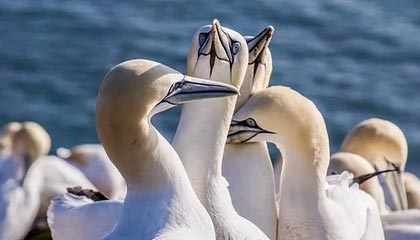 五星体育-WTT澳门冠军赛：黄友政0-3不敌阿鲁纳止步首轮